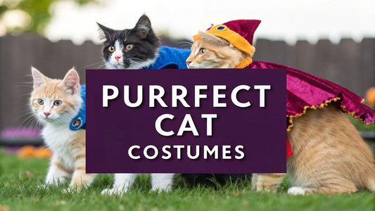 7-Pawsitively-Purrfect-Ideas-for-Cat-Costumes-2025-Guide FloofChonk