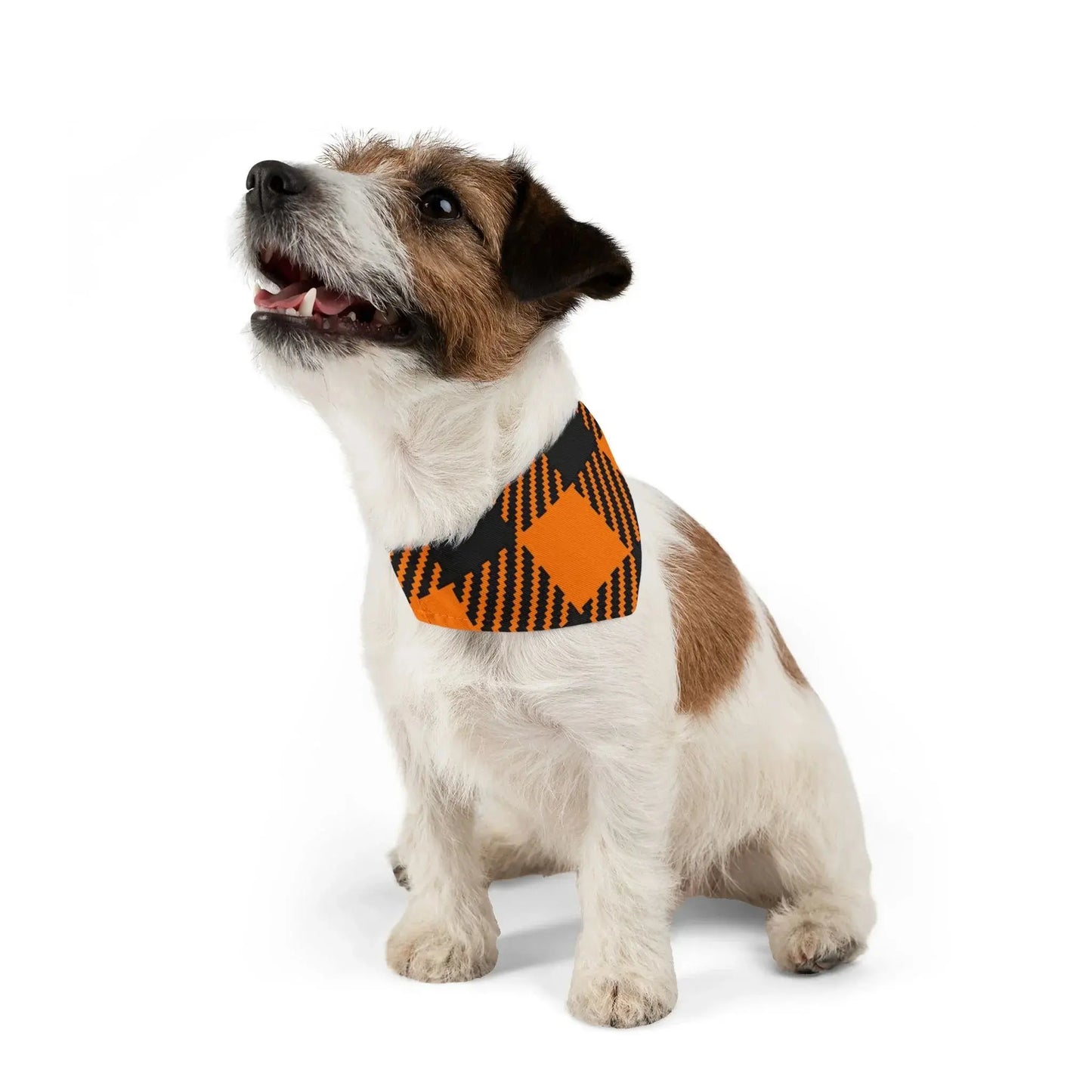 Pet Bandana Collar - Halloween Plaid Style - FloofChonk