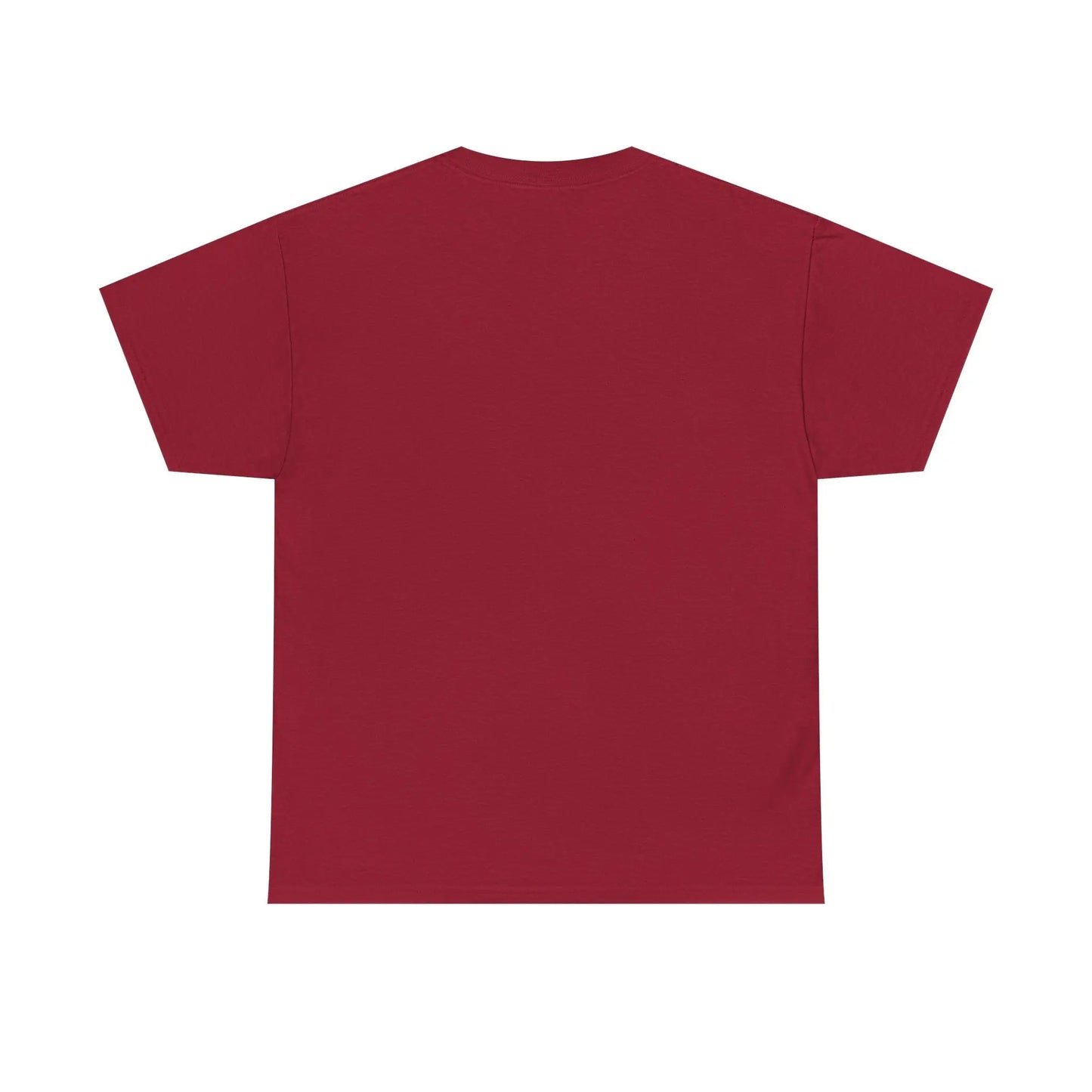 Dinosaur Cat Tee Printify