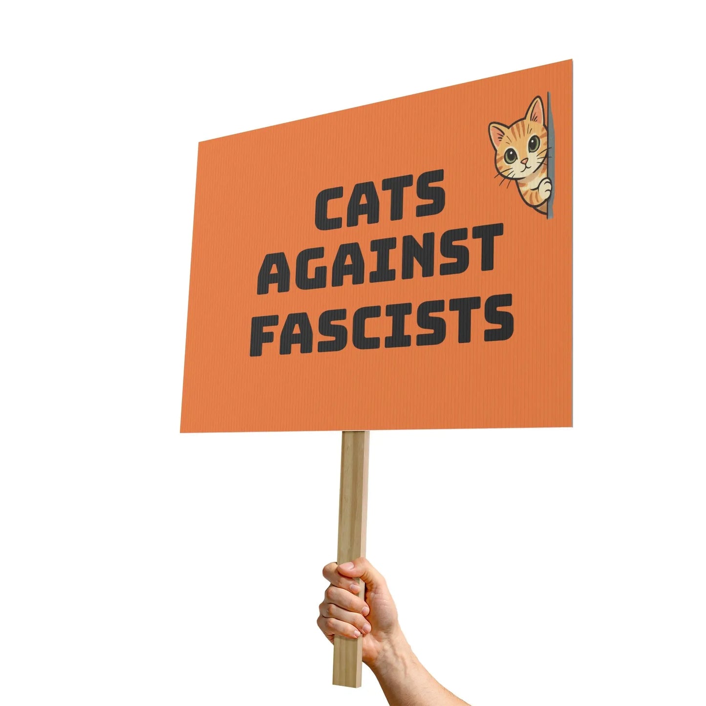 Protest Sign - "Cats Against Fascists" Political Rally Placard with Cute Cat Illustration Printify