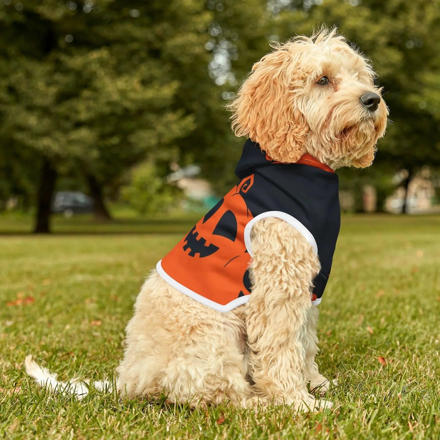 Halloween Pumpkin Pet Hoodie - FloofChonk