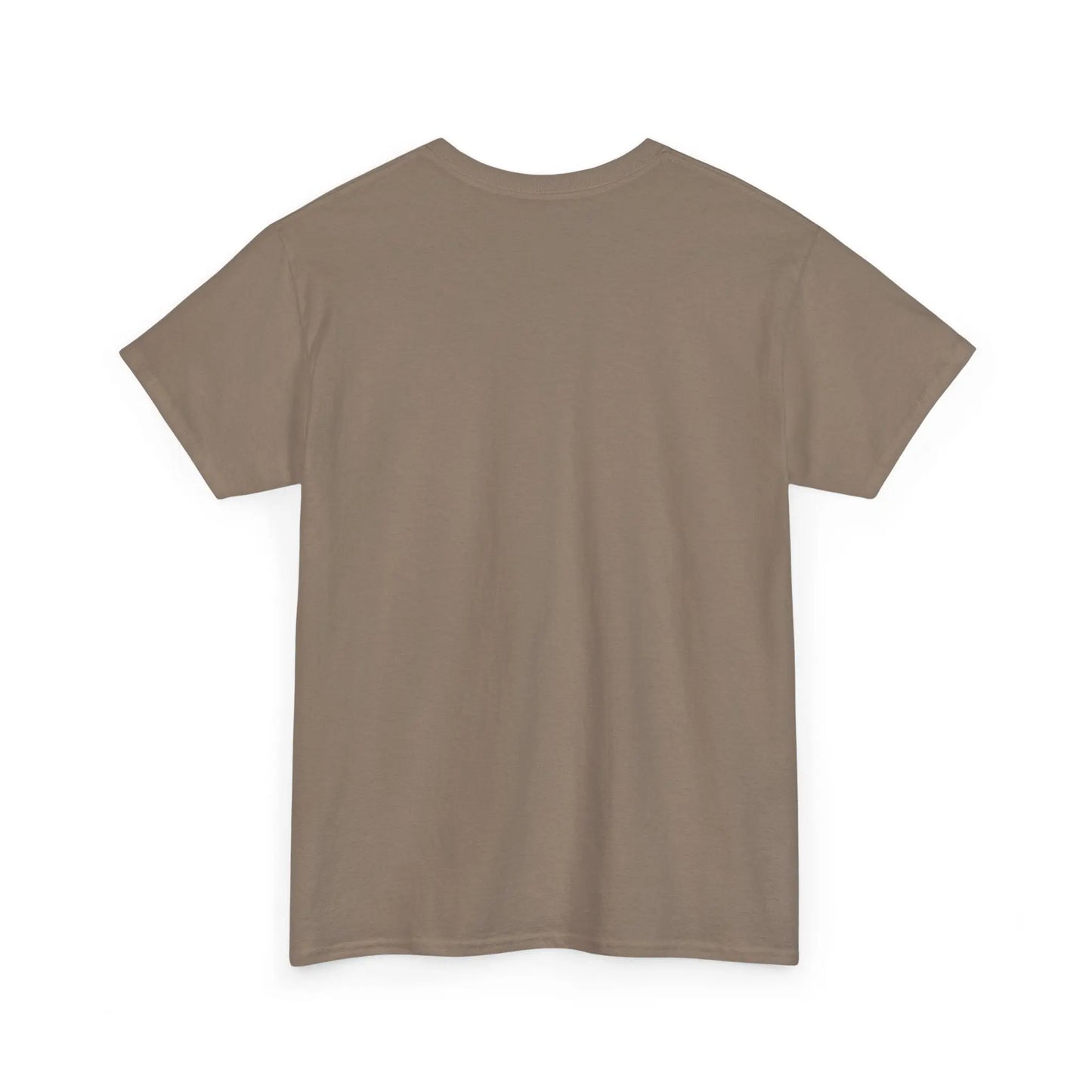 Dinosaur Cat Tee Printify