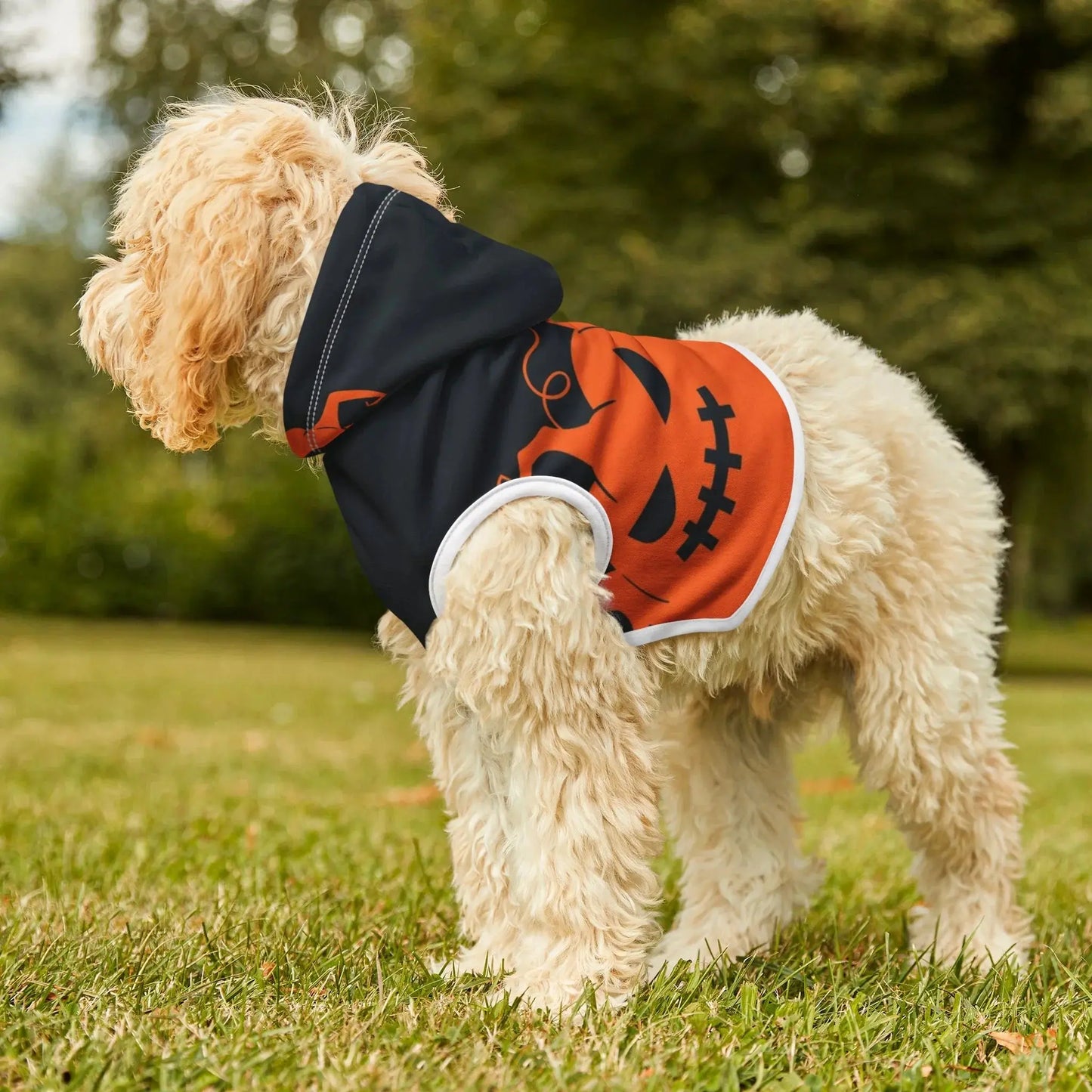 Halloween Pumpkin Pet Hoodie - FloofChonk