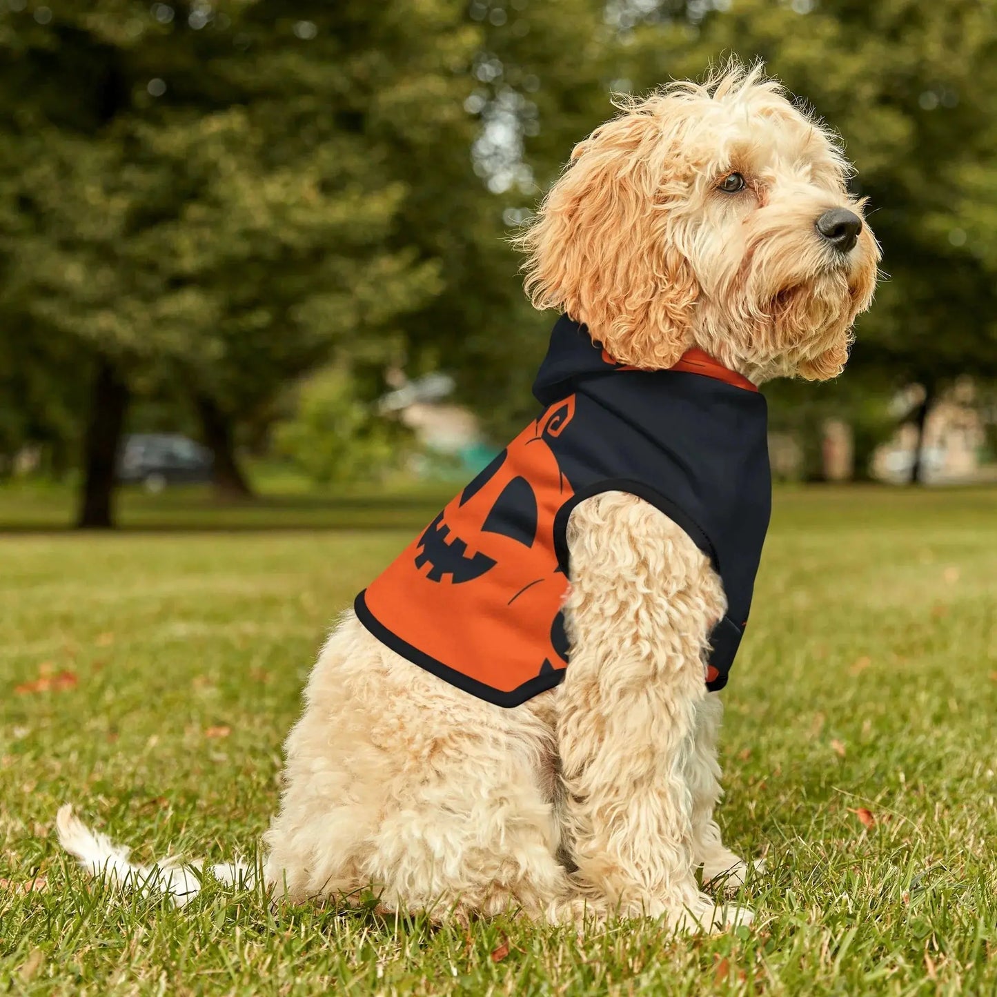 Halloween Pumpkin Pet Hoodie - FloofChonk