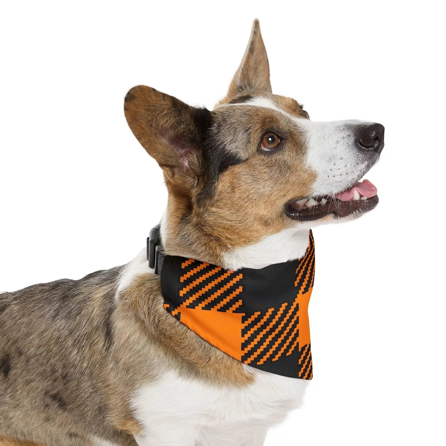Pet Bandana Collar - Halloween Plaid Style - FloofChonk