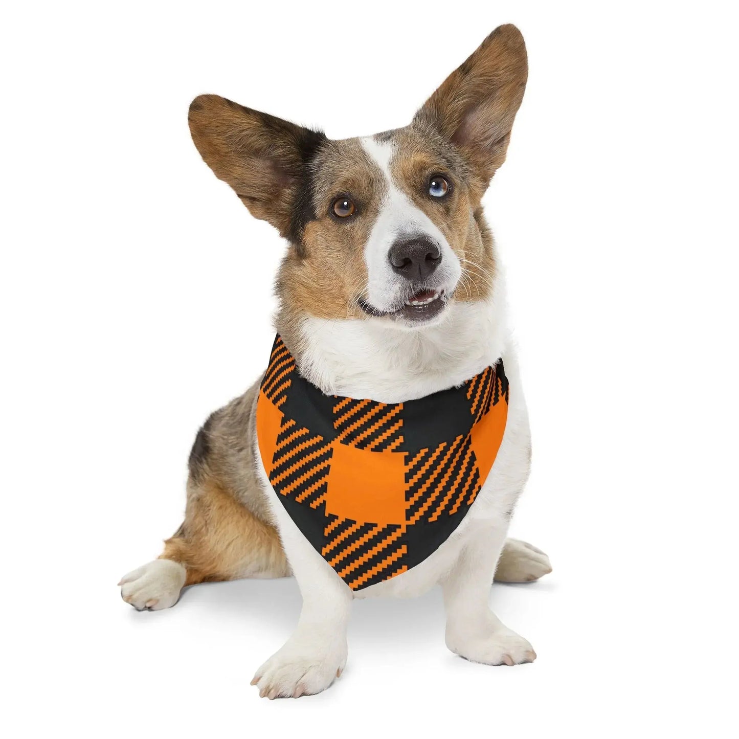 Pet Bandana Collar - Halloween Plaid Style - FloofChonk