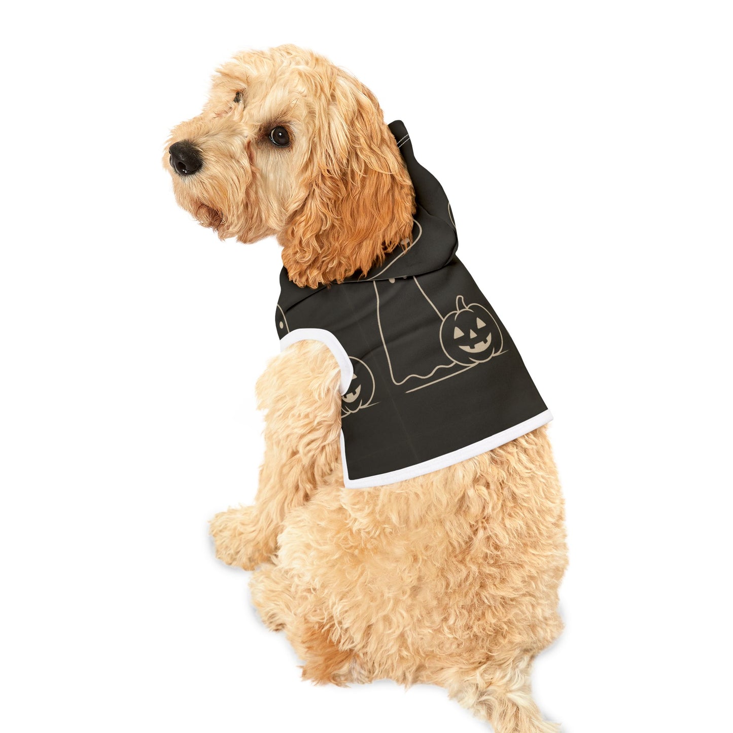 Halloween Pet Hoodie - FloofChonk
