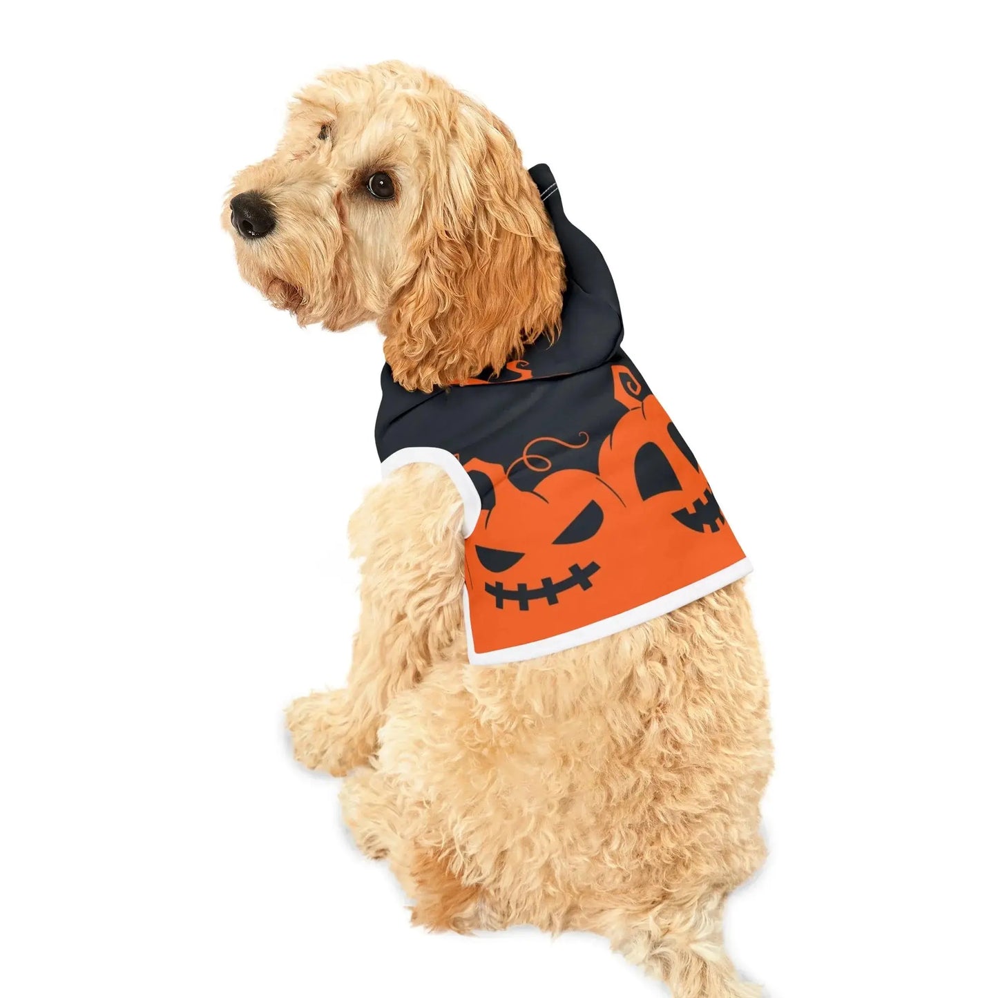 Halloween Pumpkin Pet Hoodie - FloofChonk