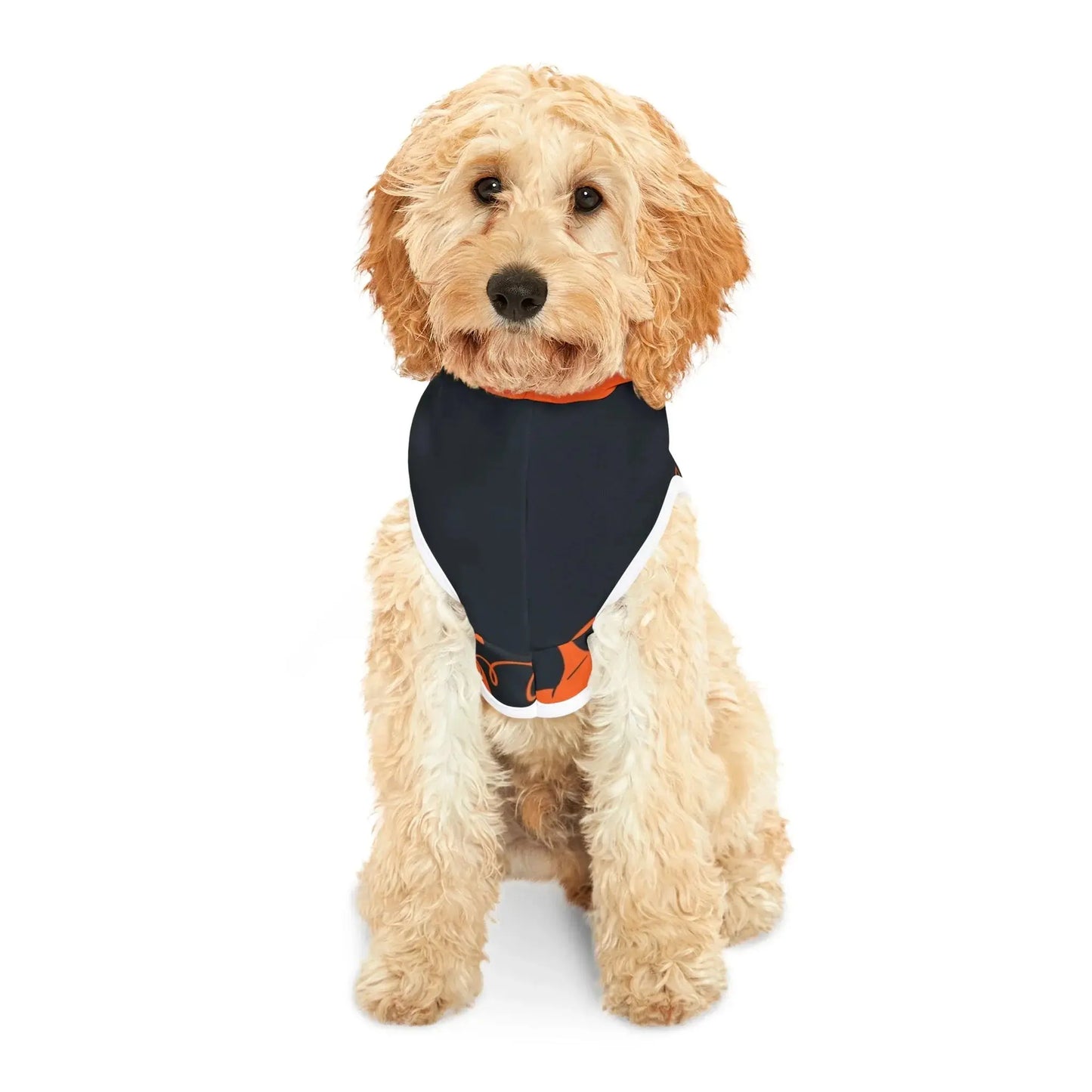 Halloween Pumpkin Pet Hoodie - FloofChonk