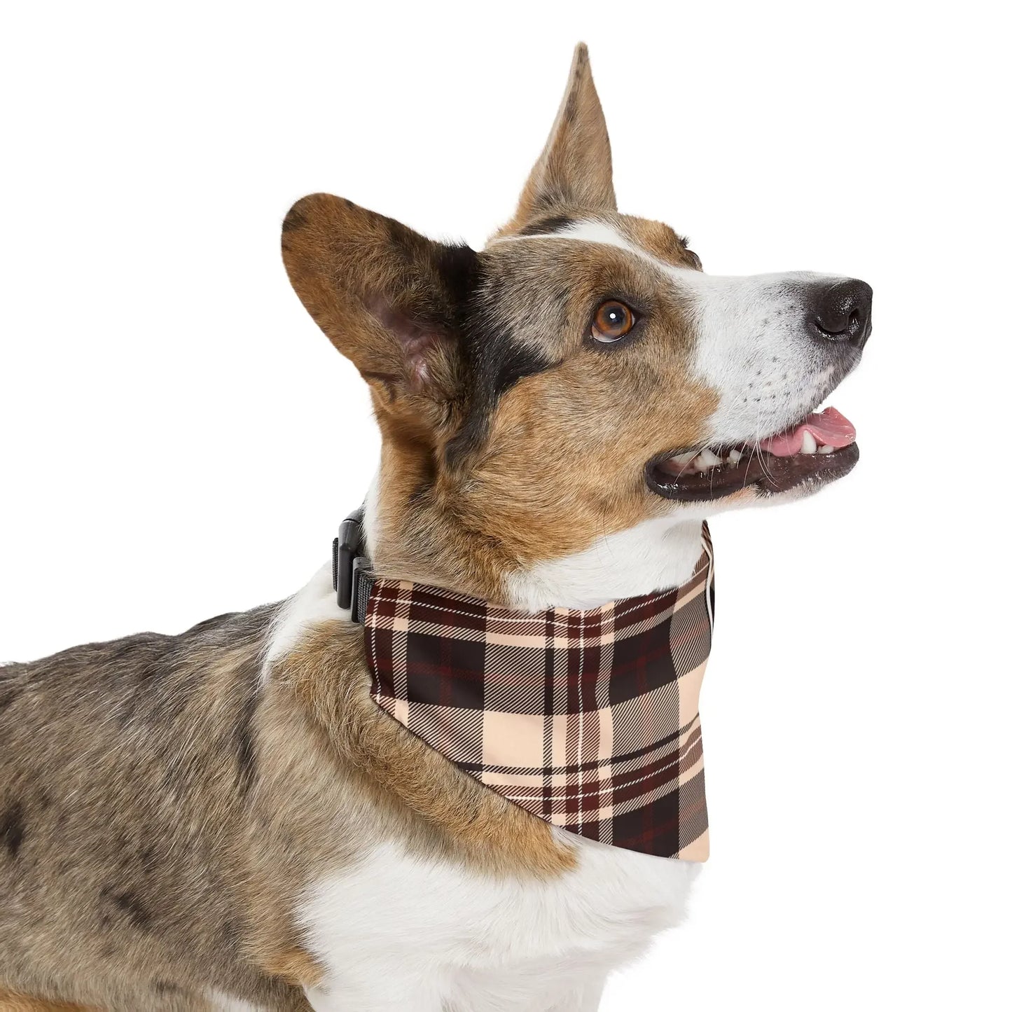 Pet Bandana Collar - Plaid Design - FloofChonk