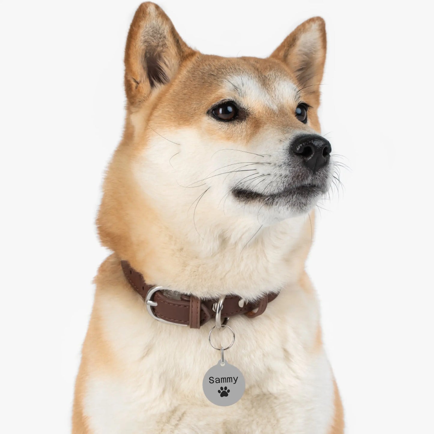 Pet Tag - Personalized ID Tag for Dogs or Cats Printify