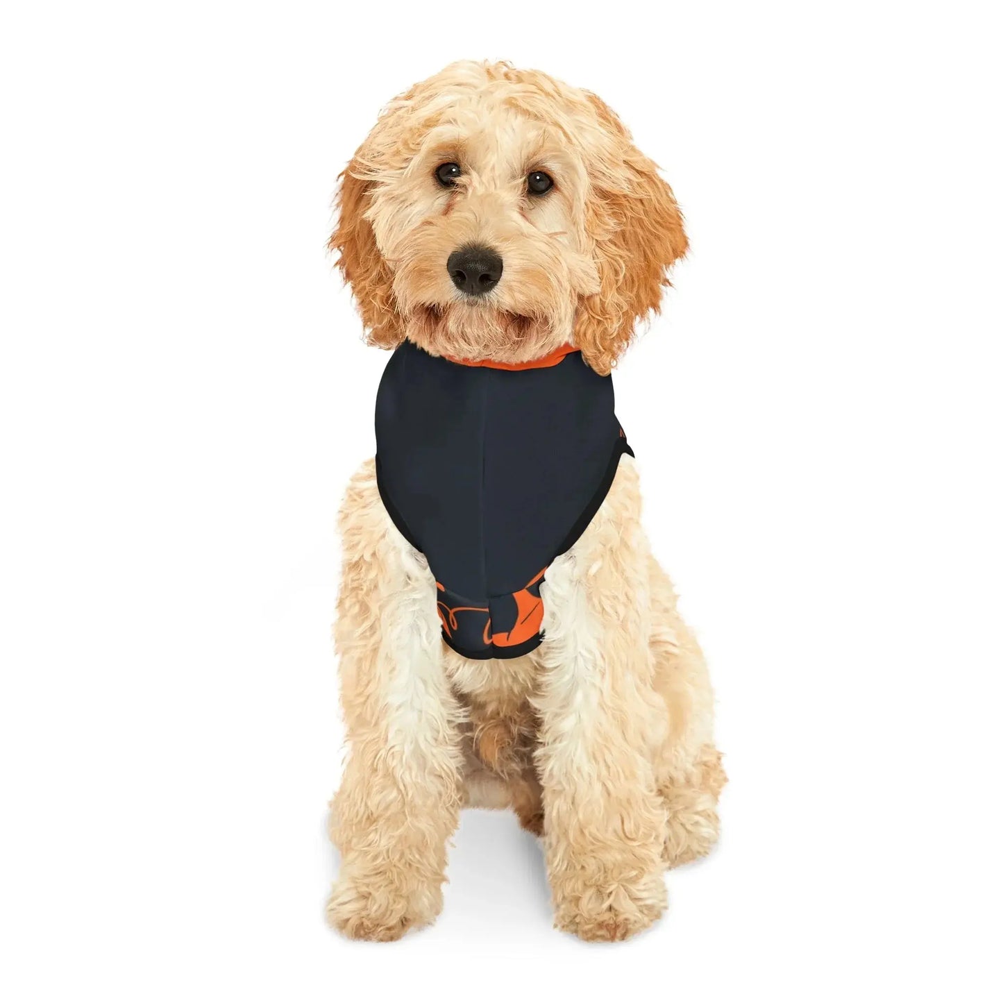 Halloween Pumpkin Pet Hoodie - FloofChonk