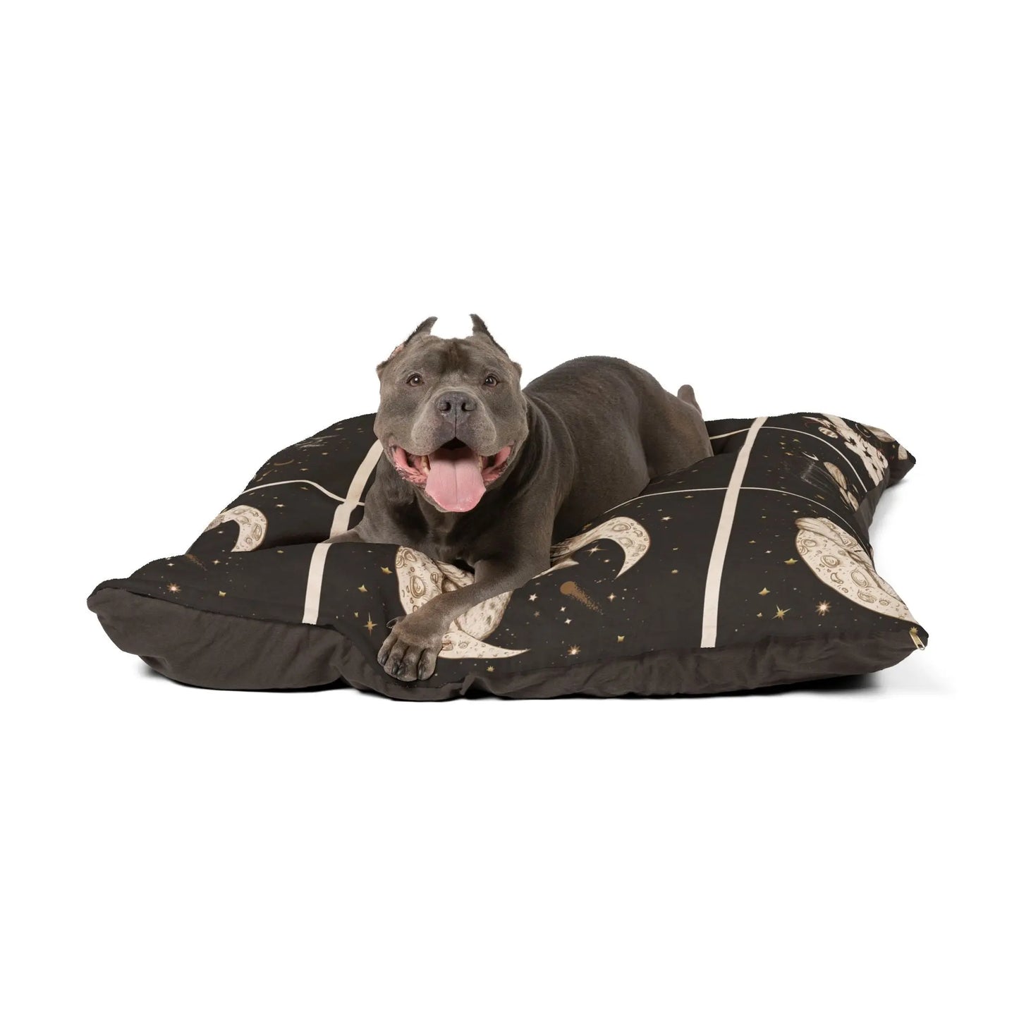 Cosmic Pet Bed Printify