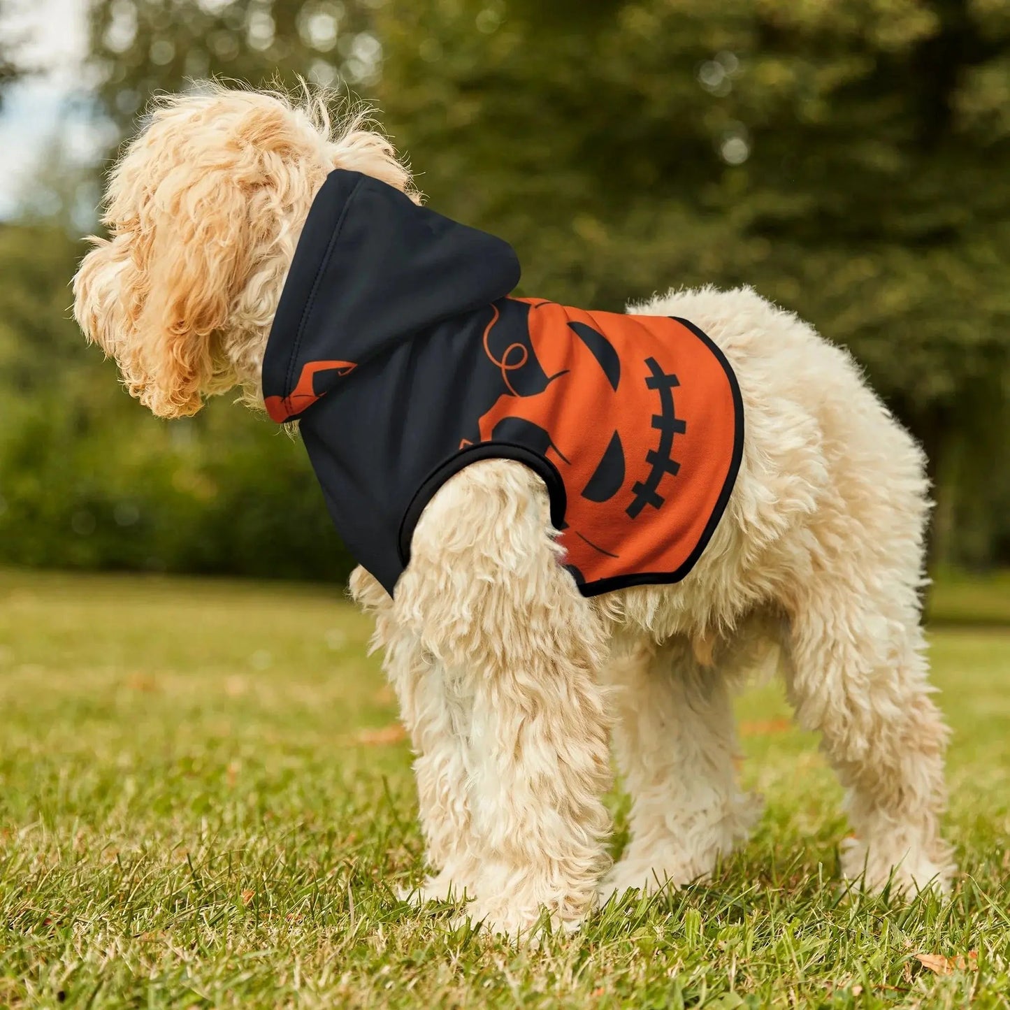 Halloween Pumpkin Pet Hoodie - FloofChonk