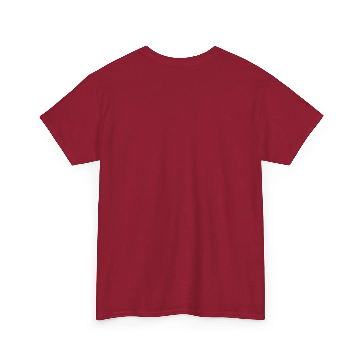 Dinosaur Cat Tee Printify