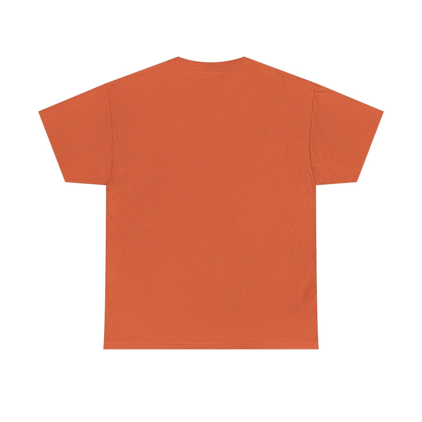 Dinosaur Cat Tee Printify
