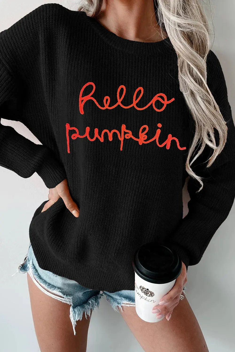 HELLO PUMPKIN Round Neck Long Sleeve Sweater - FloofChonk