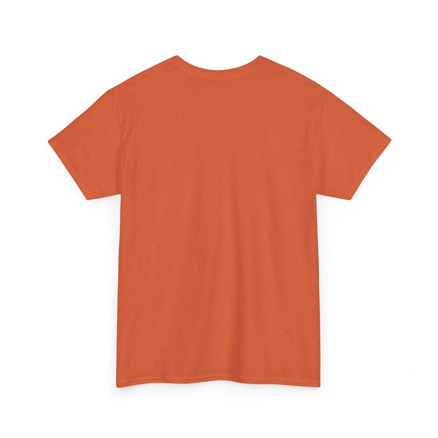 Dinosaur Cat Tee Printify