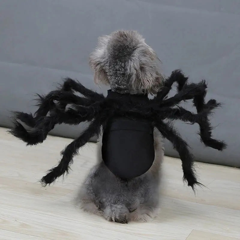 Halloween Pet Cosplay Funny Spider Costume Halloween Party Costumes for Small Medium Dog Cat Costumes Dropshipman