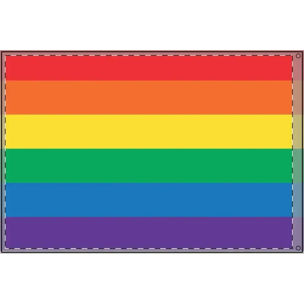 Double Sided Rainbow Flag - Celebrate Pride & Inclusivity - FloofChonk