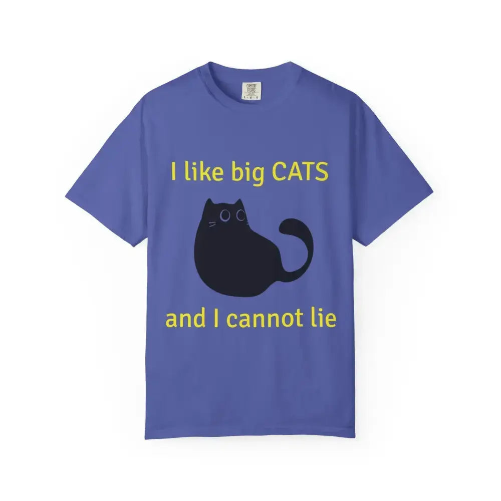 I Like Big Cats T-Shirt, Funny Cat Lover Tee, Gift for Cat Owners - FloofChonk