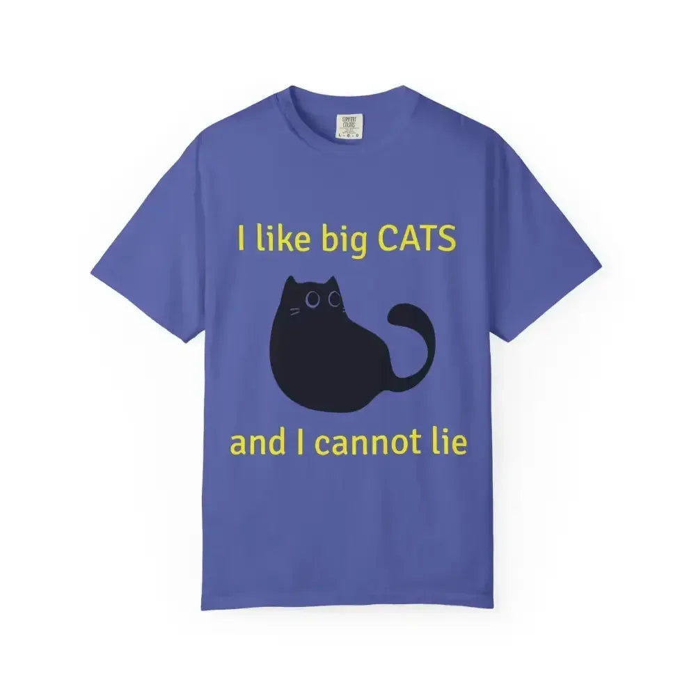 Funny Cat Lover T-Shirt, I Like Big Cats Tee - FloofChonk