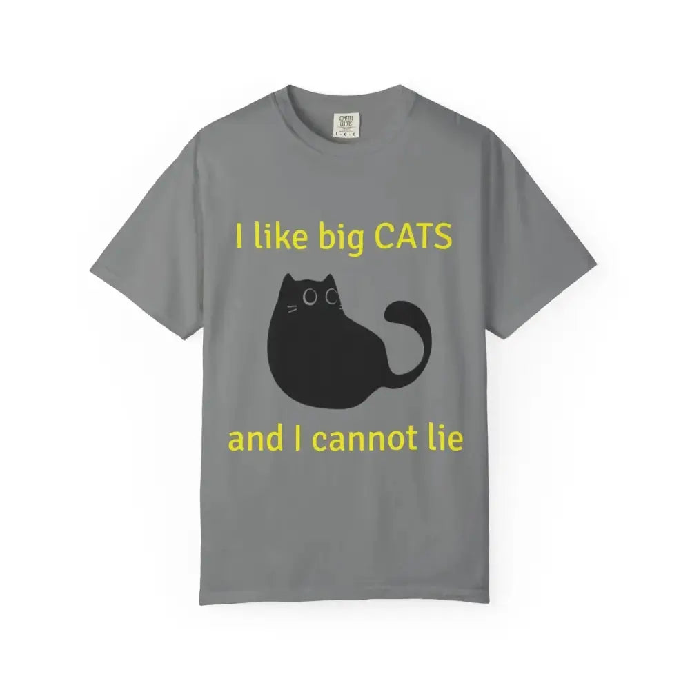 I Like Big Cats T-Shirt, Funny Cat Lover Tee, Gift for Cat Owners - FloofChonk