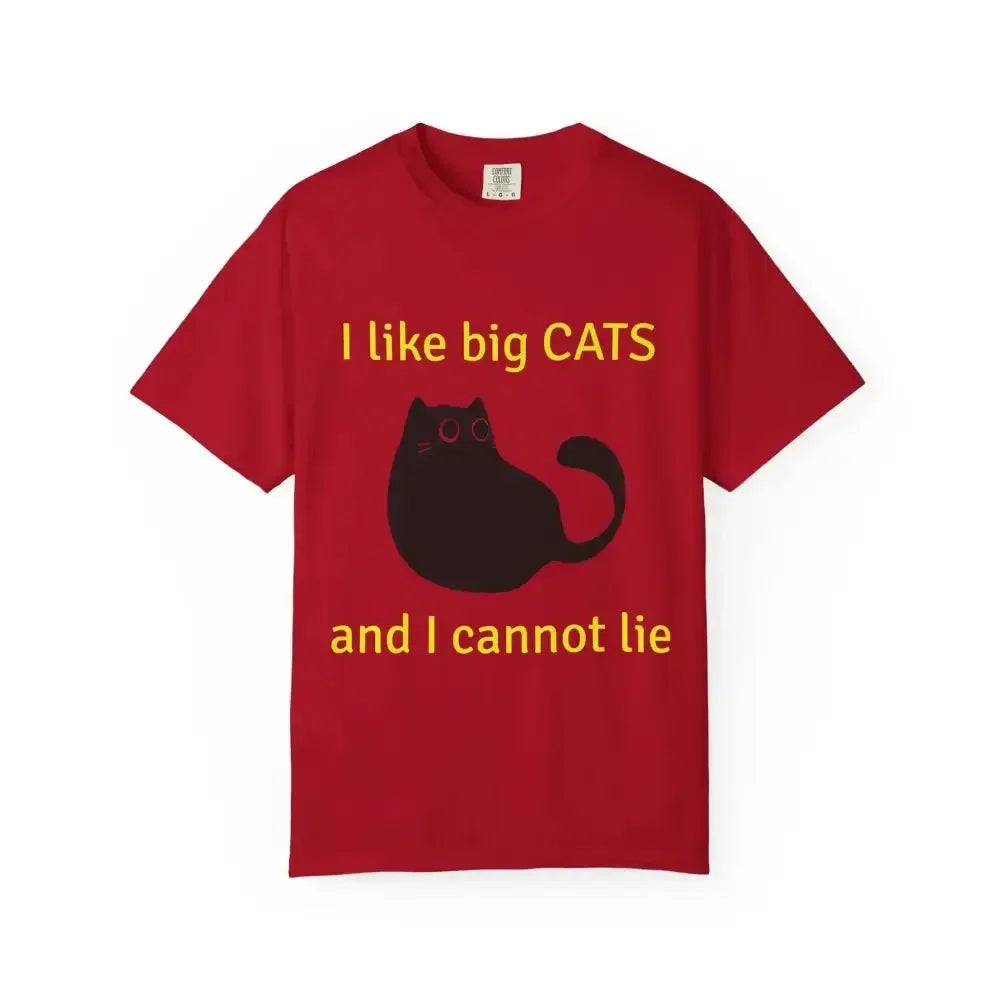 Funny Cat Lover T-Shirt, I Like Big Cats Tee - FloofChonk