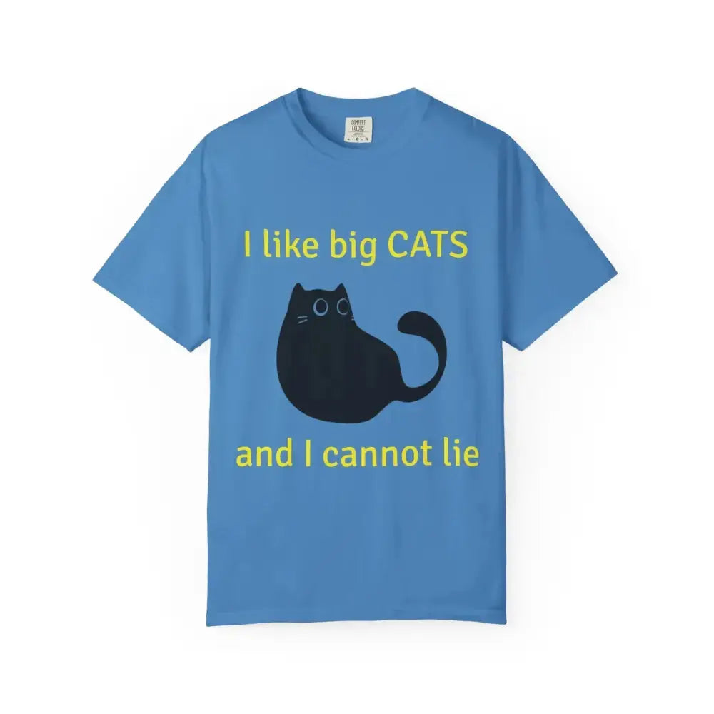 I Like Big Cats T-Shirt, Funny Cat Lover Tee, Gift for Cat Owners - FloofChonk