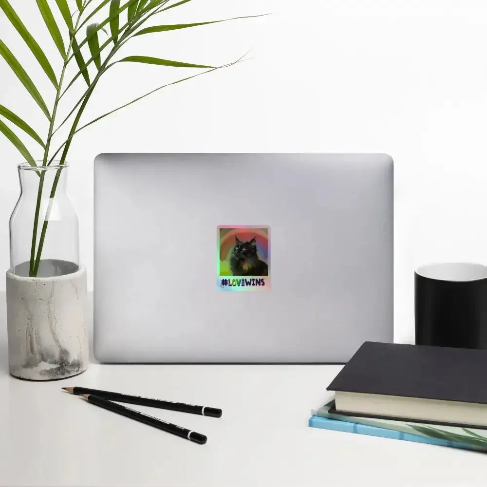 Love Wins Holographic Stickers - FloofChonk