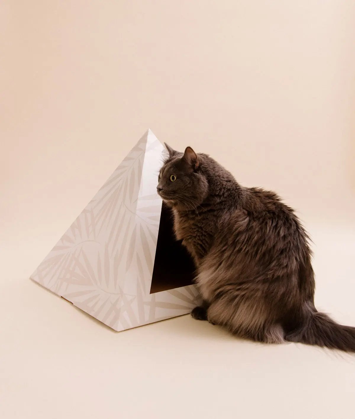 'Neutral Palm' Cardboard Cat Pyramid - FloofChonk