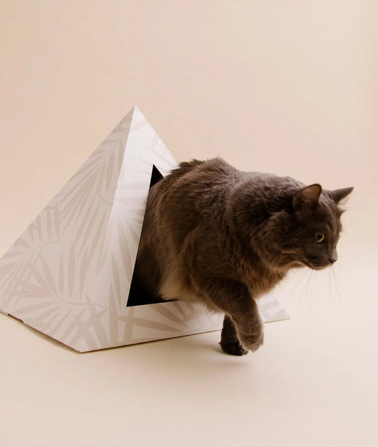 'Neutral Palm' Cardboard Cat Pyramid - FloofChonk