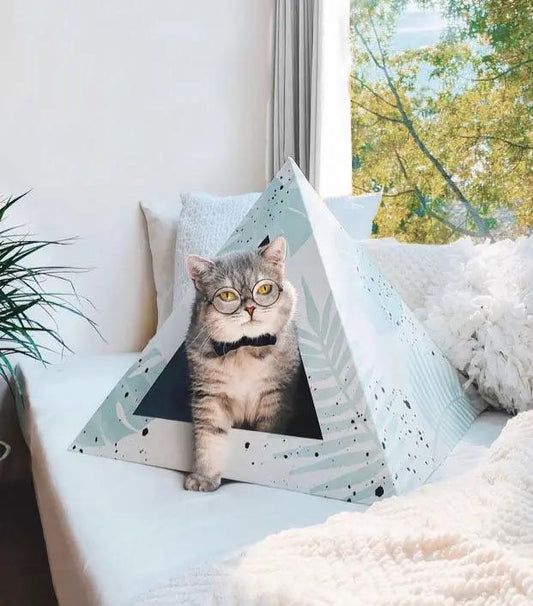 'Oasis' Cardboard Cat Pyramid - FloofChonk