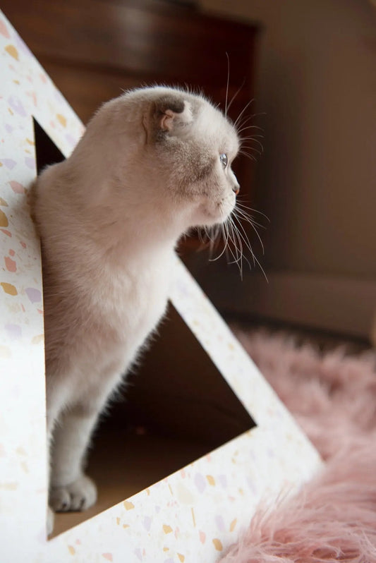 Terrazzo Cardboard Cat Pyramid - FloofChonk