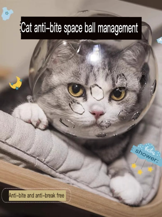 Transparent Anti - Bite Pet Spherical Head Cover - FloofChonk