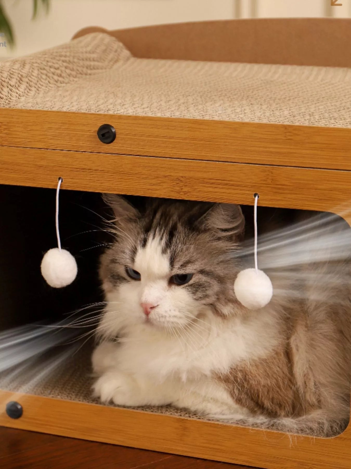 Wooden Cat House with Scratching Pad - FloofChonk
