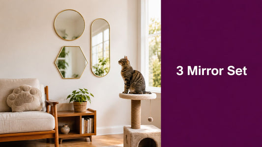 3 Mirror Set Styling Guide for Cat Lovers