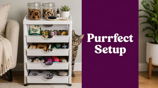 5 Drawer Organizer: Purrfect Cat Supply Setup Guide