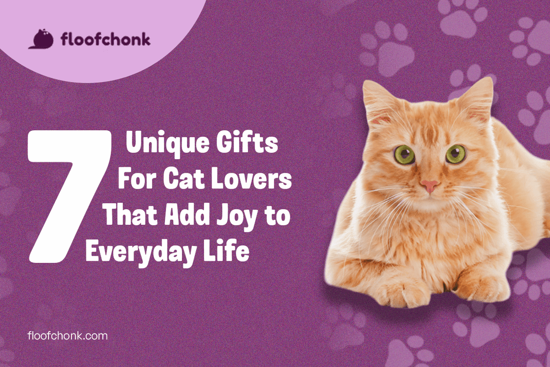7 Unique Gifts for Cat Lovers That Add Joy to Everyday Life - FloofChonk