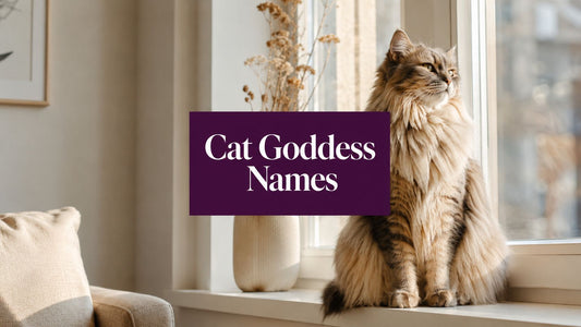 8 Divine Cat Goddess Names for Your Fierce Feline - FloofChonk