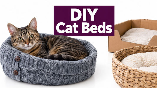 8 DIY Cat Bed Ideas Floofie Loves for Cozy Naps - FloofChonk
