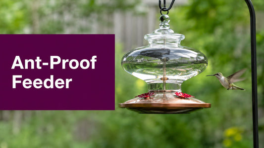 Ant Proof Hummingbird Feeder Setup That Actually Works - FloofChonk