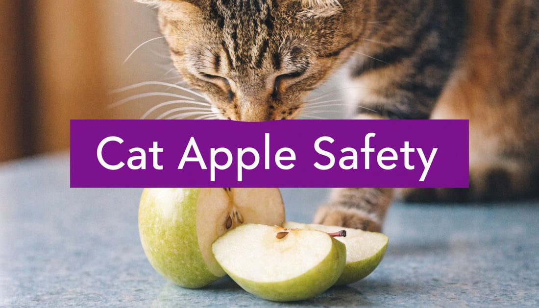 Are Apples Bad for Cats? A 2026 Vet-Approved Safety Guide - FloofChonk