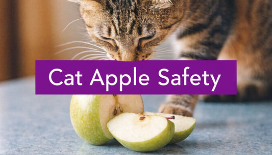 Are Apples Bad for Cats? A 2026 Vet-Approved Safety Guide