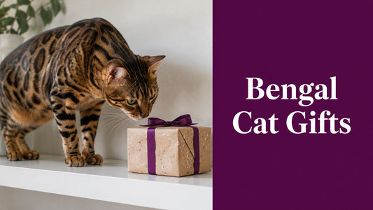 Bengal Cat Gifts: The Ultimate Guide for 2026 - FloofChonk