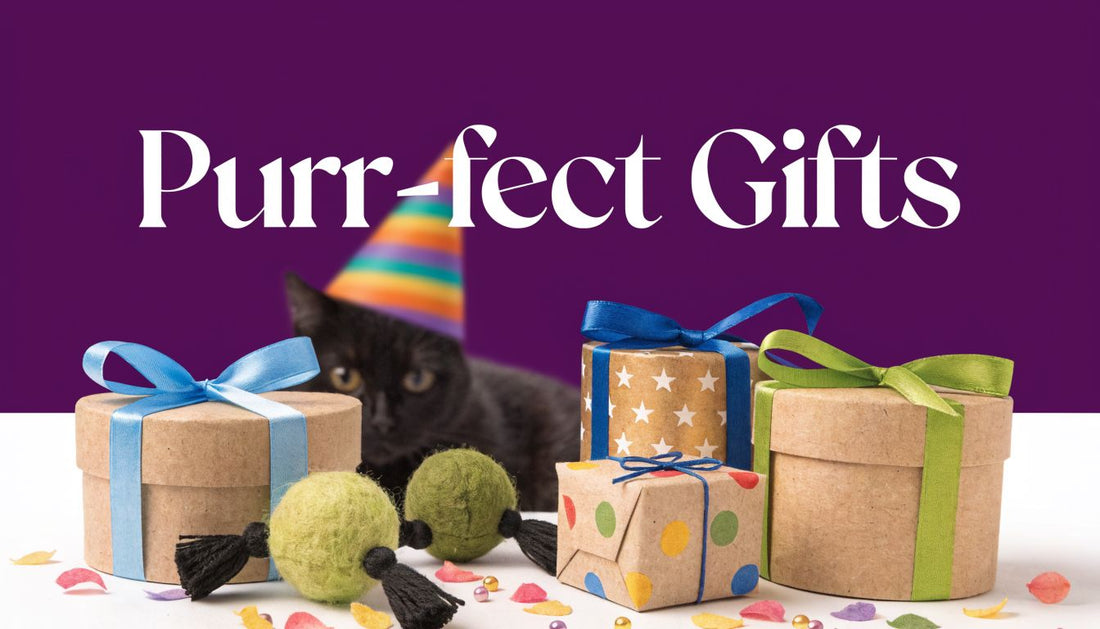 Birthday Presents for Cats: The Purr-fect 2026 Guide 🐾 - FloofChonk