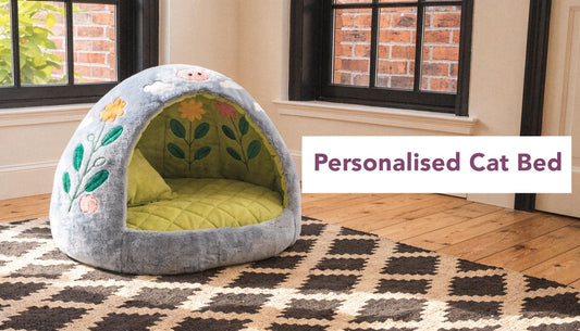 Cat Bed Personalised: Your Purrfect Guide 🐾 - FloofChonk