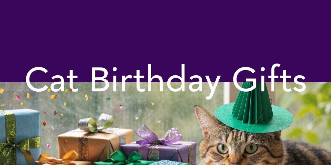 Cat Birthday Gifts: The Ultimate 2026 Party Guide - FloofChonk