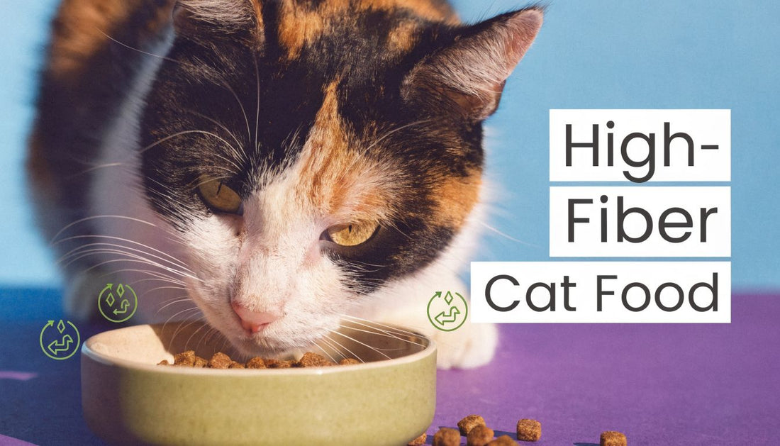 Cat Food High In Fiber: Relief For Hairballs & Constipation - FloofChonk