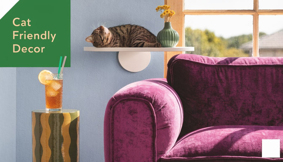 Cat Friendly Home Decor: A Stylish Guide 🐾 - FloofChonk